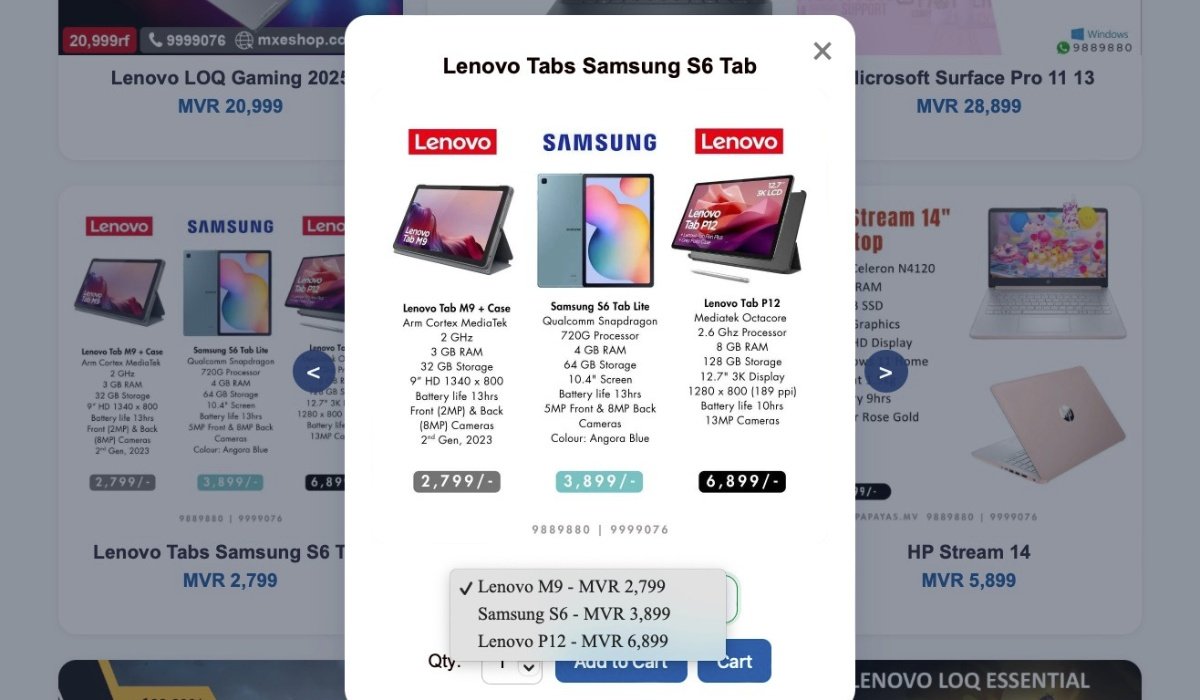 Dhishops shop interface example